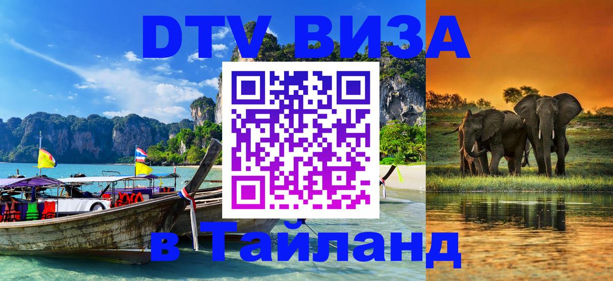 Сколько стоит DTV виза — актуальные цены, оформление даже без документов - Домодедово 